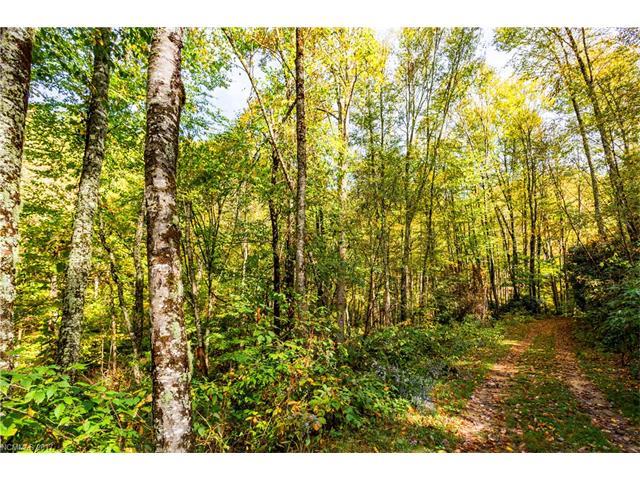 0000 Black Rock Road - Photo 1