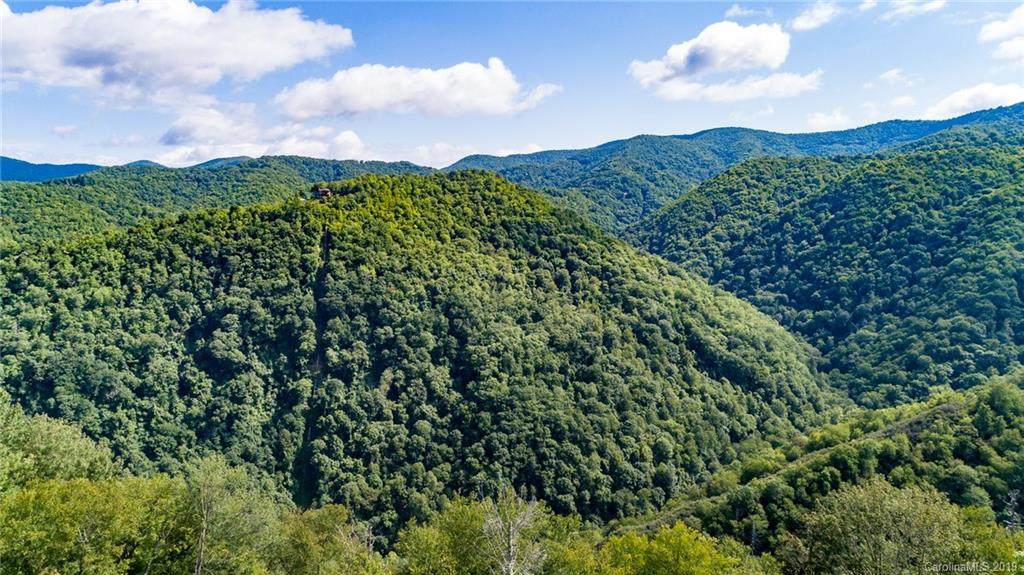0000 Bearwallow Ridge Trail - Photo 1