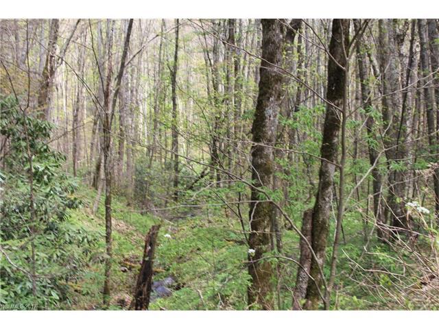 0000 Big Spring Trail - Photo 1