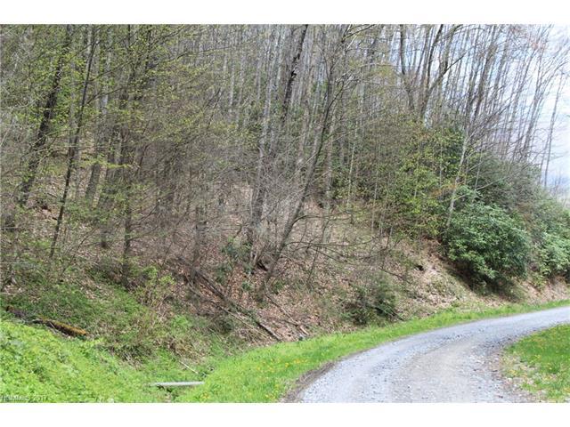 0000 Big Spring Trail - Photo 1