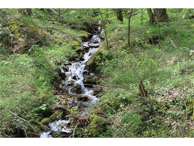 0000 Big Spring Trail - Photo 1