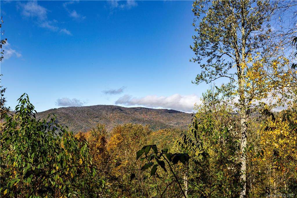 0000 Big Spring Trail - Photo 1