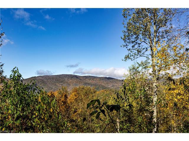 0000 Big Spring Trail - Photo 1