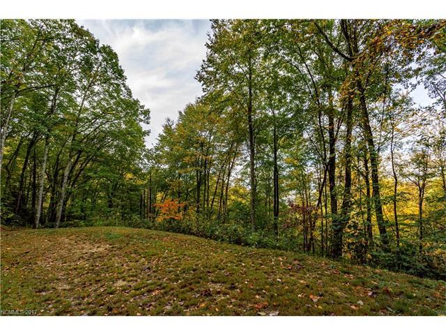 58 Buddy Boy Lane - Photo 1