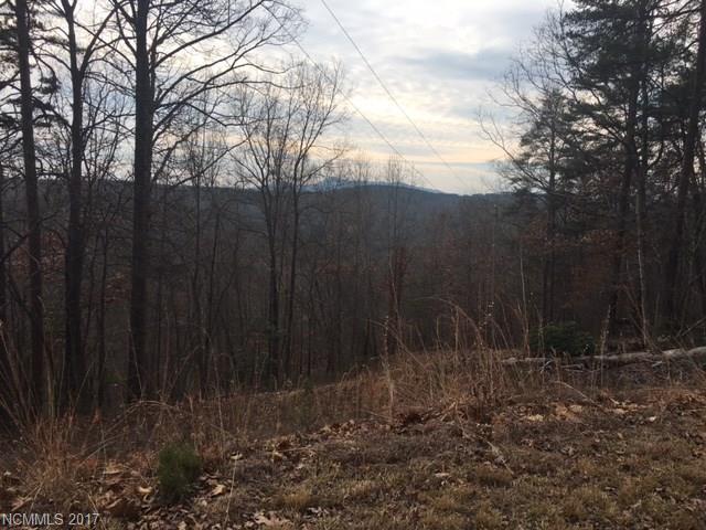 Lot 38 Sparrows Way - Photo 1
