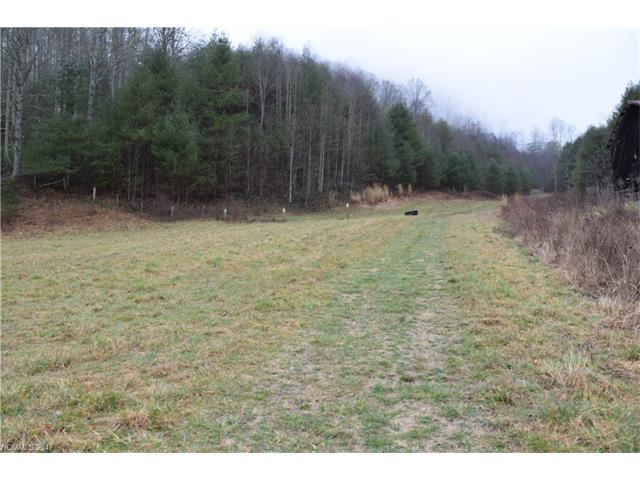9999 Lotties Creek Road - Photo 1