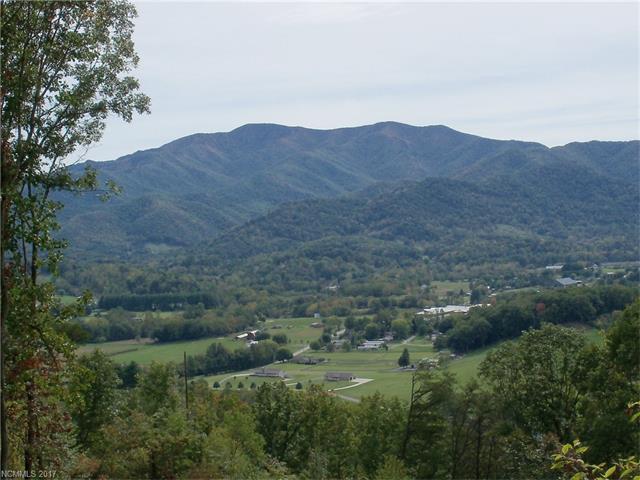 Lot 21 Mosa Drive - Photo 1