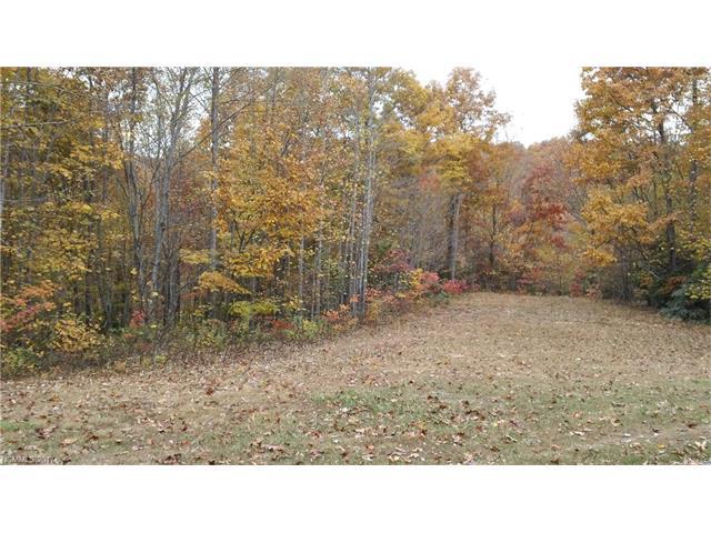 Lot # 75 & 76 Arcadia Falls Way - Photo 1