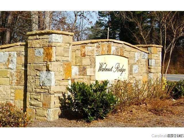 Lot 6 Walnut Ridge Road - Photo 1