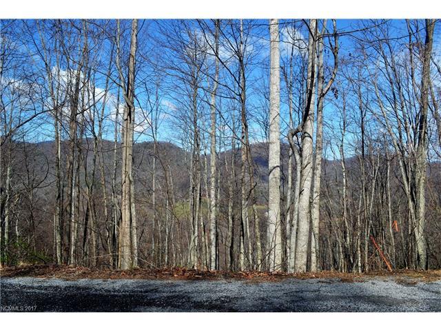 1362 Double Knob Drive - Photo 1