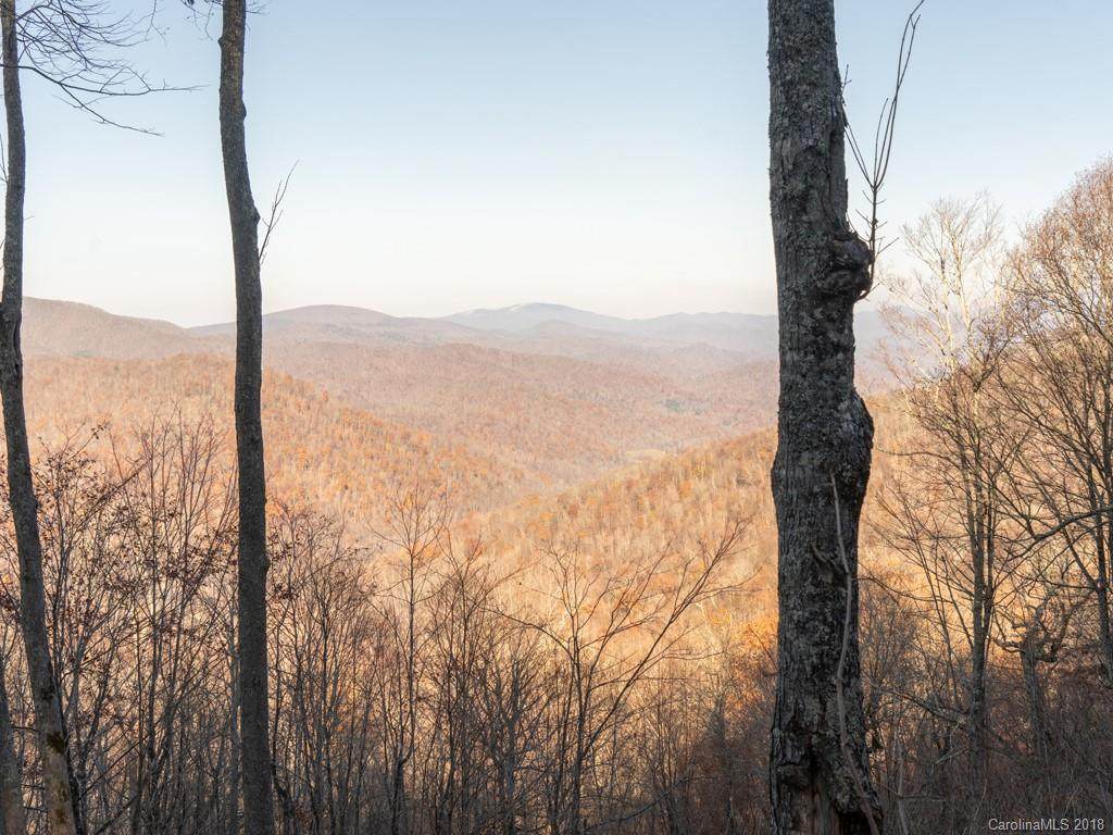 Lot 27 Cherry Knob Drive - Photo 1