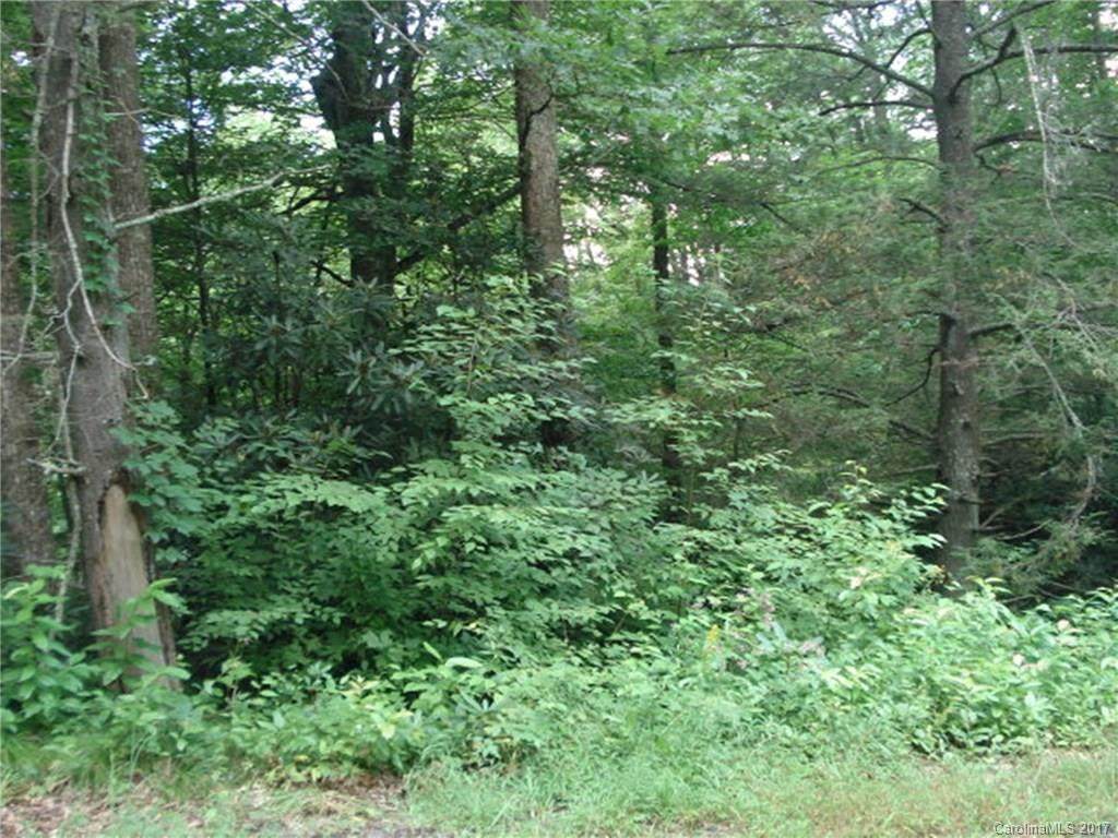 0 Blue Branch Road - Photo 1