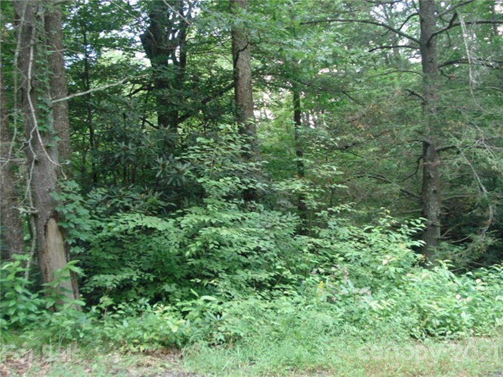 0 Blue Branch Road - Photo 1