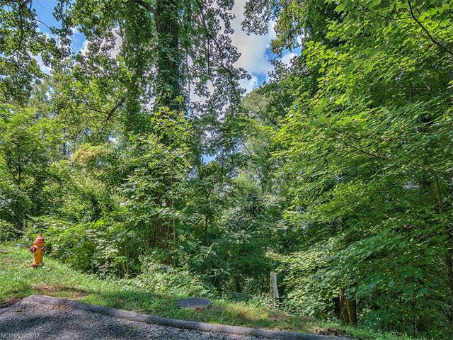 LOT 23 Peregrine Lane - Photo 1