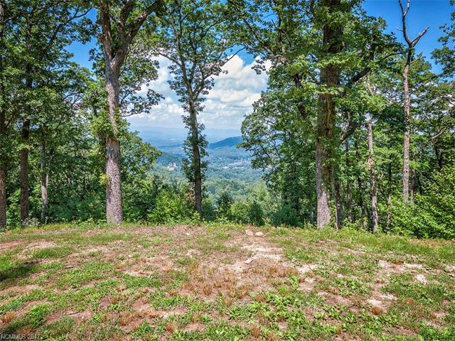 LOT 19 Peregrine Lane - Photo 1