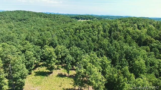 9999 Polk County Line Road - Photo 1