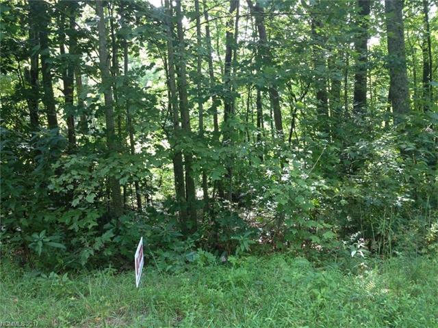 TBD Old Toxaway Road - Photo 1