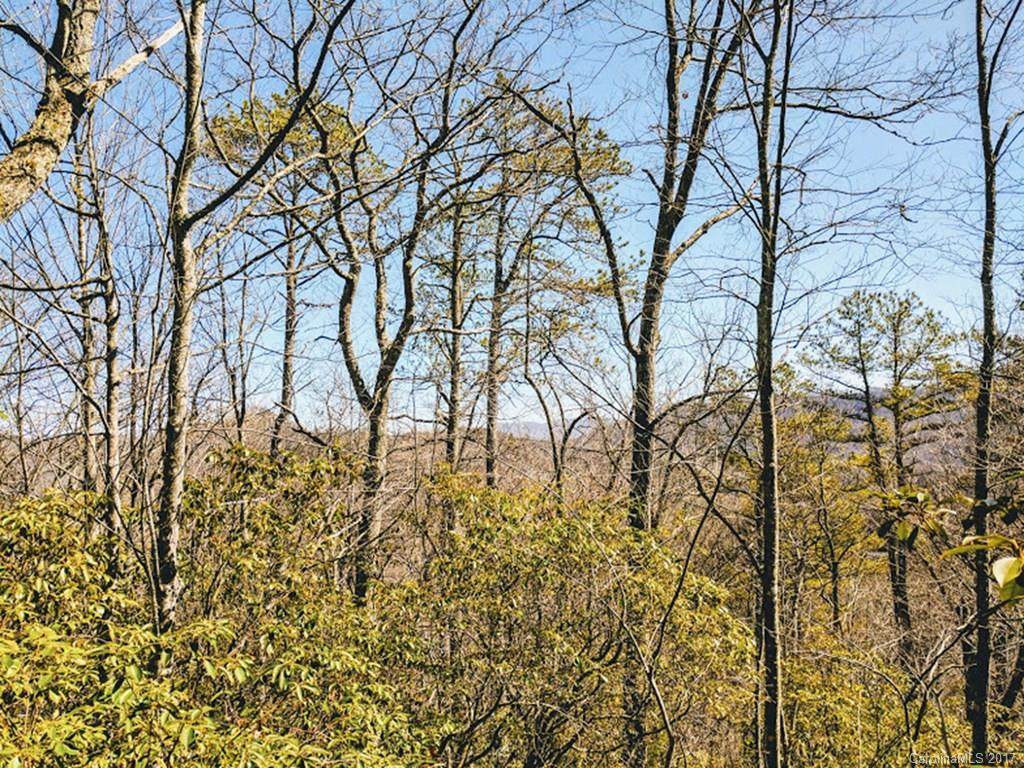 00 Paradise Lane - Photo 1