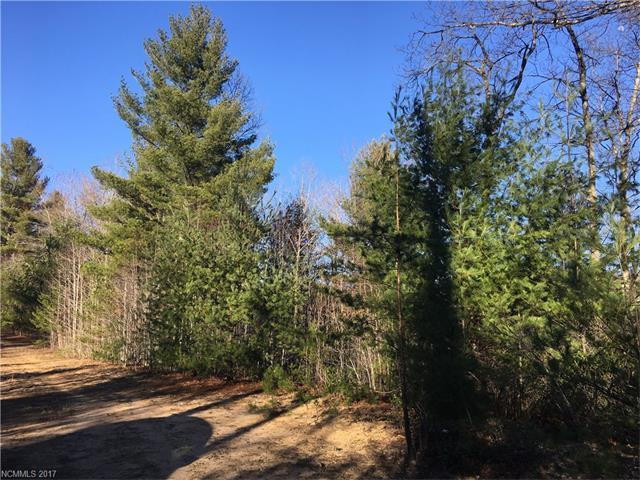 Lot 25 Majestic Ridge Drive - Photo 1