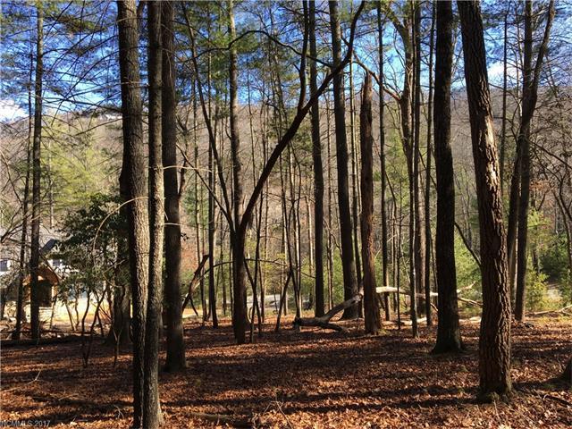 85 Powder Creek Trail - Photo 1