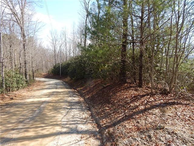 TBD Gray Fox Road - Photo 1