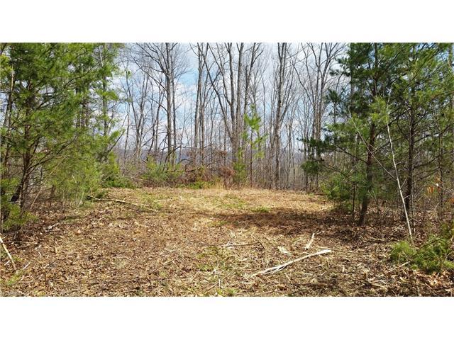 117 Morning Glory Lane - Photo 1