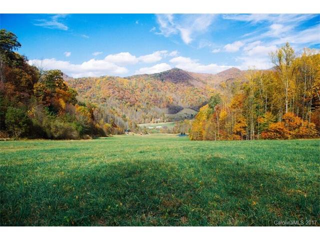 719 Fork Road - Photo 1