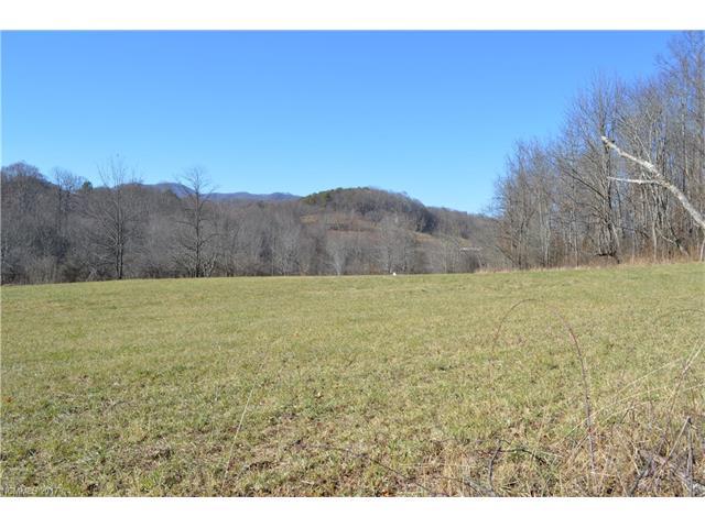 1796 Pigeon Road - Photo 1