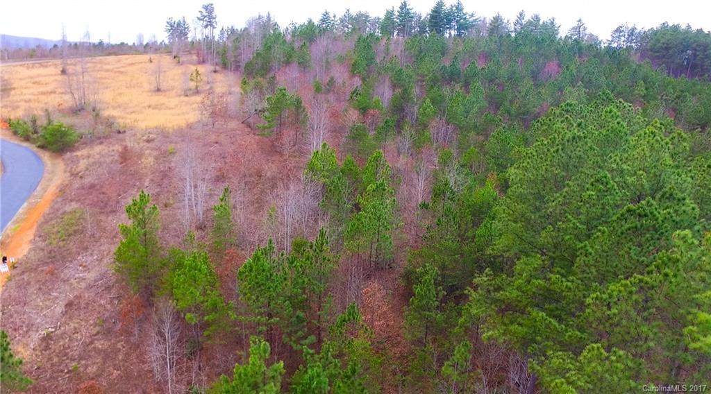 Lot 37 Clearwater Drive - Photo 1