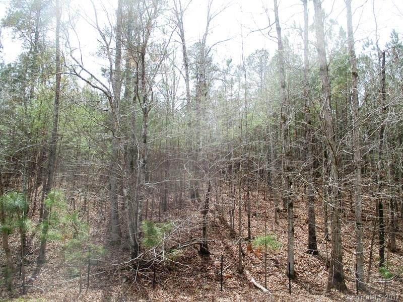 Lt 76 Lakeside Trail - Photo 1