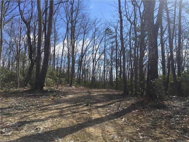TBD LOT# 65 Marshall Ridge Road - Photo 1
