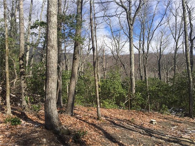 TBD LOT# 67 Marshall Ridge Road - Photo 1