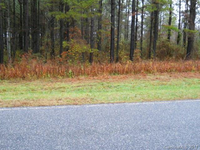 0 Will Dixon Road - Photo 1