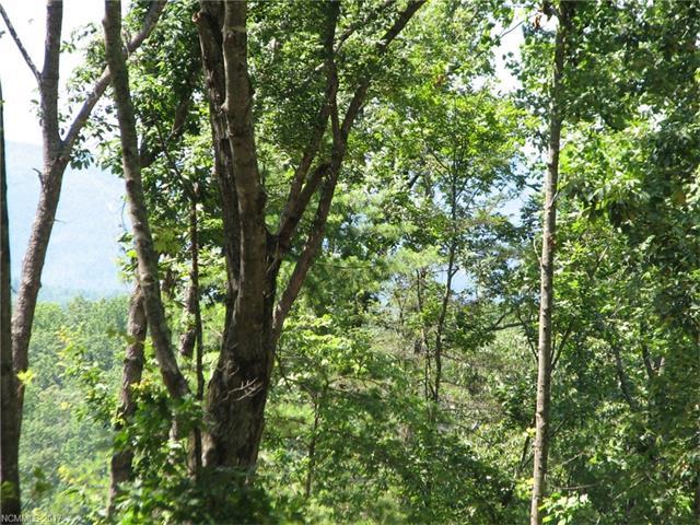 0 Cove Creek Drive - Photo 1