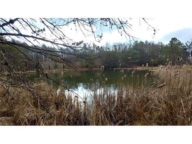 254 Bearwallow Road - Photo 1
