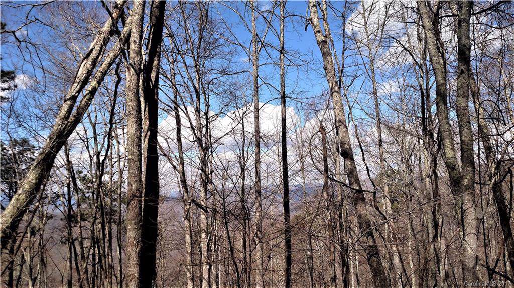 0000 Wild Turkey Drive - Photo 1
