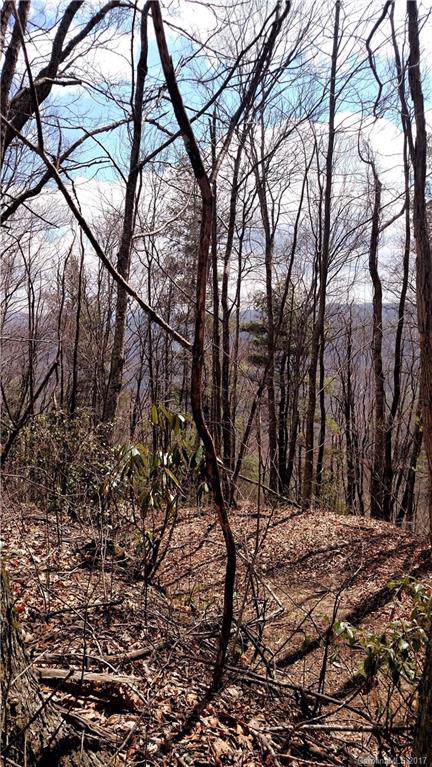 0000 Hawks Ridge Drive - Photo 1