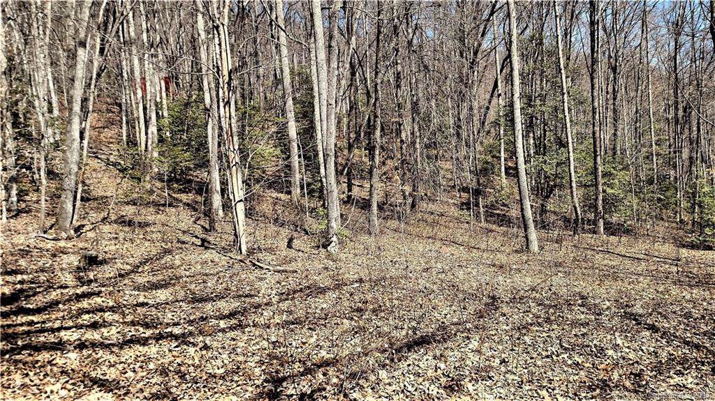 0000 Parchment Lane - Photo 1