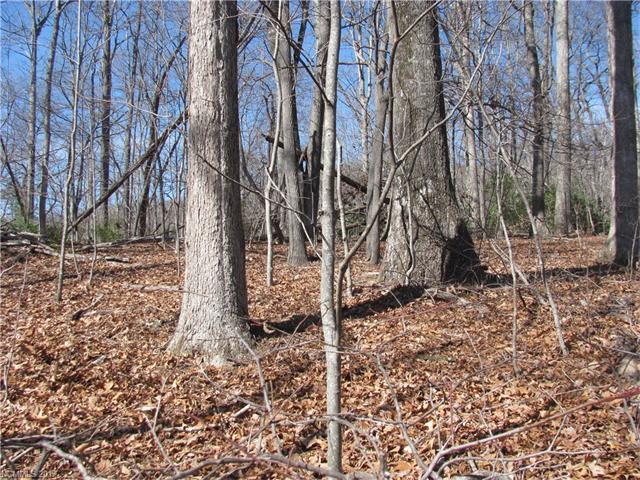 SR 1557 Willow Bend Road - Photo 1