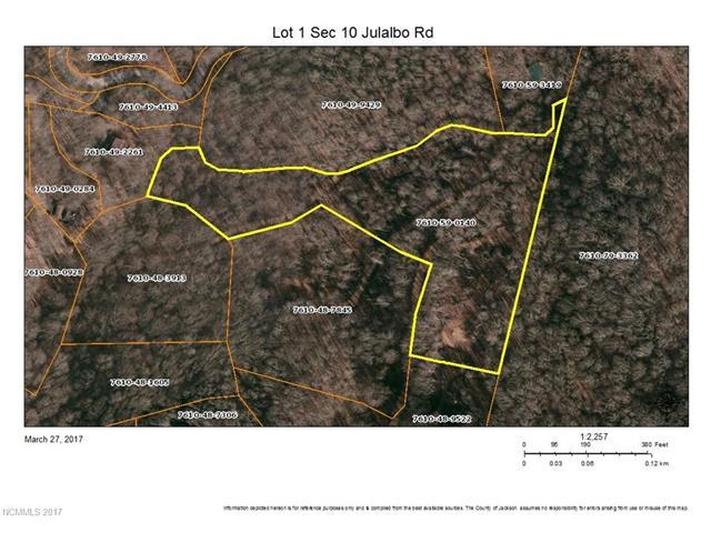 Lot 1 Sec 10 Julalbo Road - Photo 1