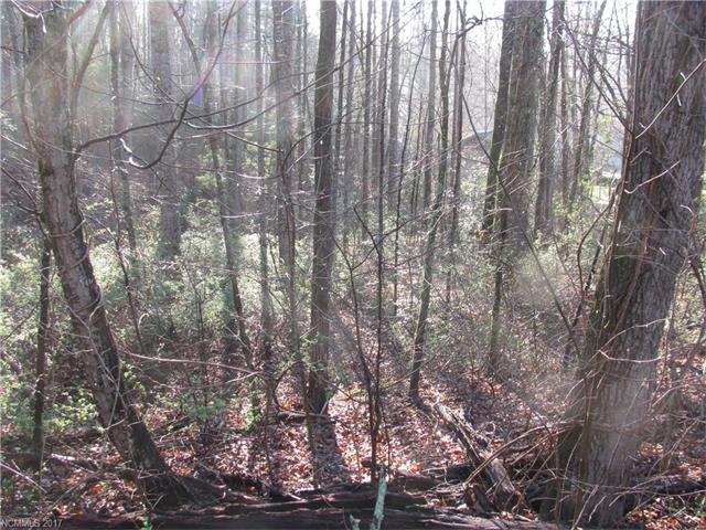 0 Burge Mountain Road - Photo 1