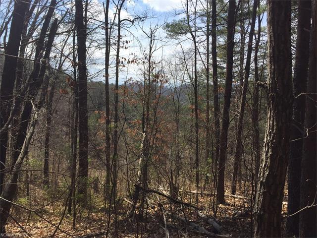 0 Mountainbrook Road - Photo 1