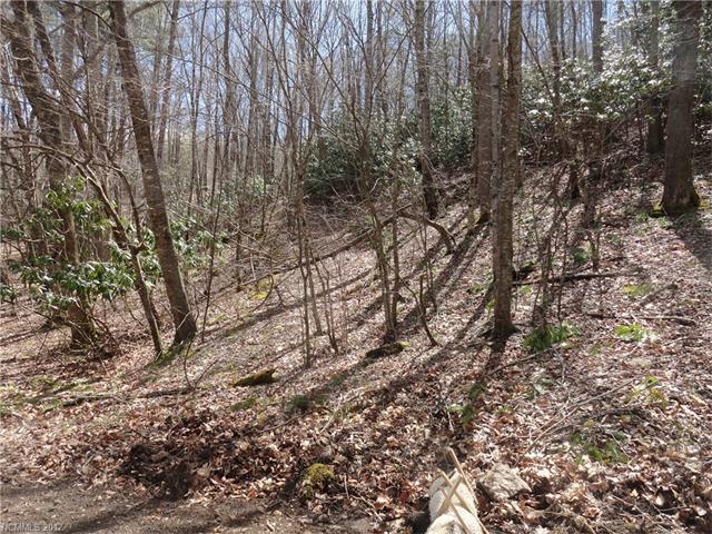 00 Upper Doe Bag Road - Photo 1