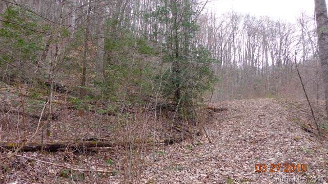 N/A Beech Tree Road - Photo 1
