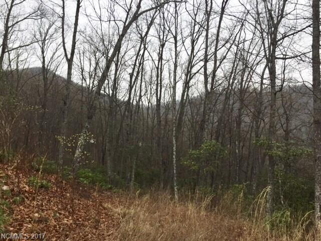 1423 Flint Rock Trail - Photo 1