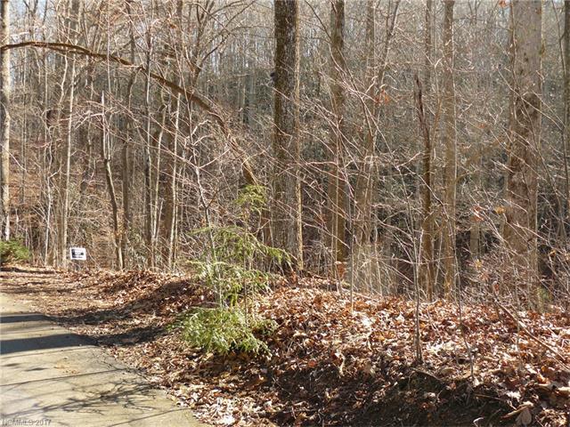 TBD Hidden Gap Lane - Photo 1
