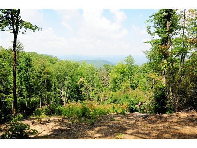 Lot 6 Indian Ridge Trail - Photo 1