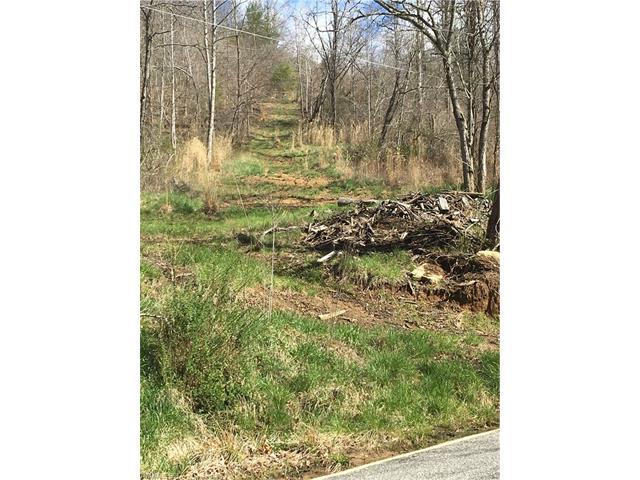 0000 Whittemore Branch Road - Photo 1