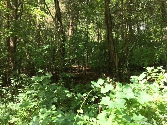 0 Country Woods Drive - Photo 1
