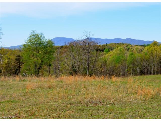 0 Spring Lane - Photo 1